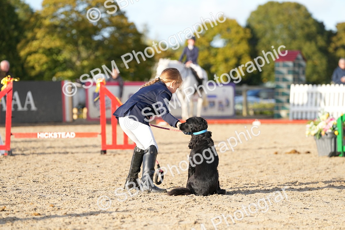 SBM_29391 - J44 - Horse & Hound Open 70cm