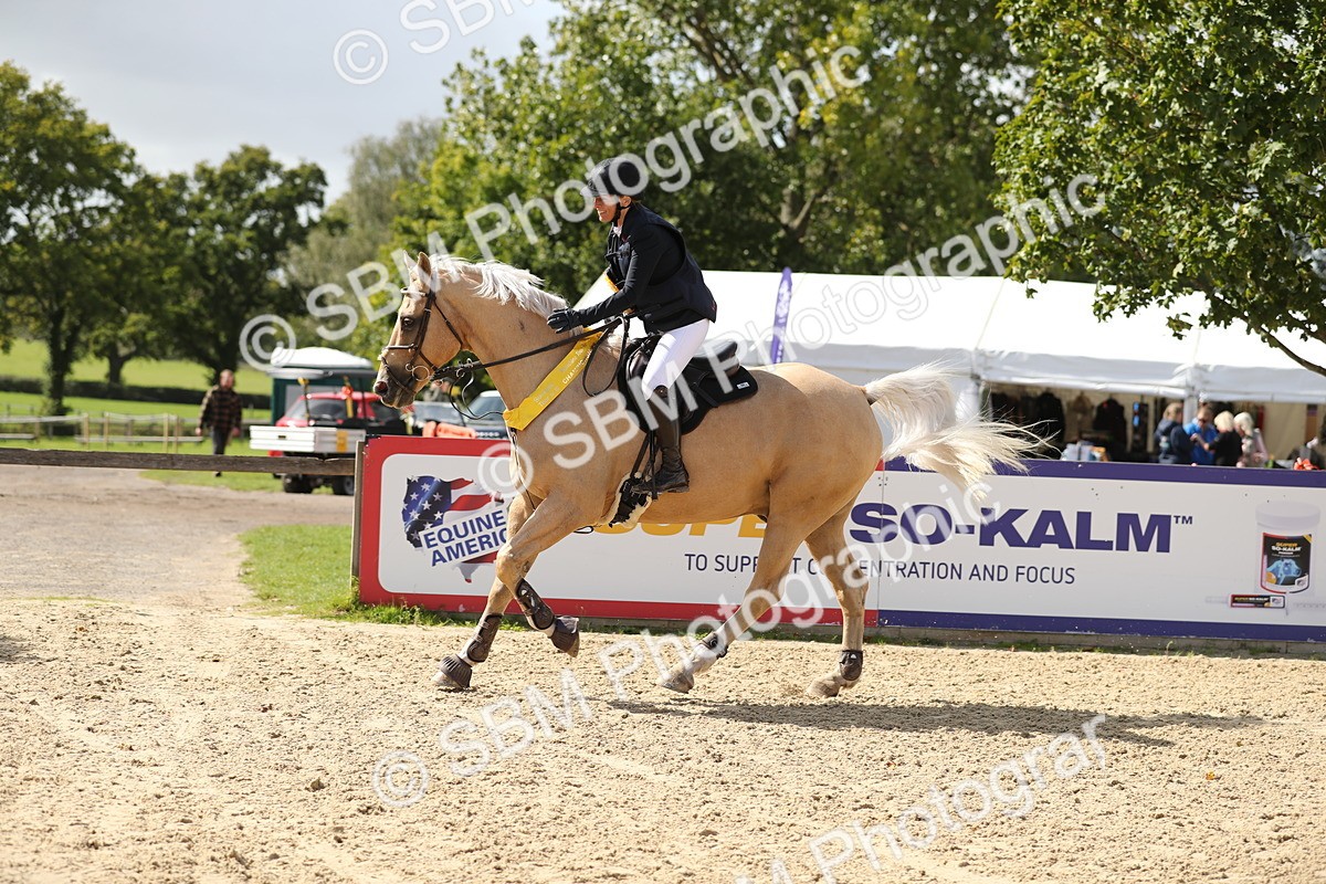 SBM_05858 - J35 - Veteran Rider 60cm
