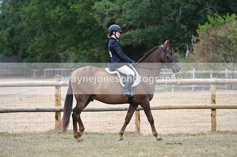 WJ7_0746 - Class 7 Riding Club Show Horse