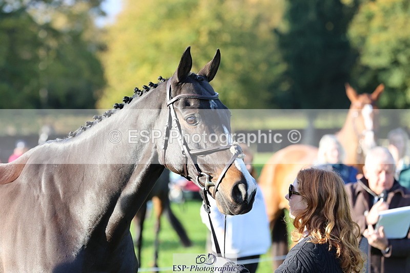 251026A-094352-22442 - D-358-Esta.Isobelle.Roche