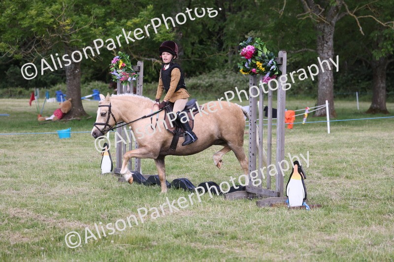 20260614-0456 - Class 20 - Beginners Working Hunter Pony