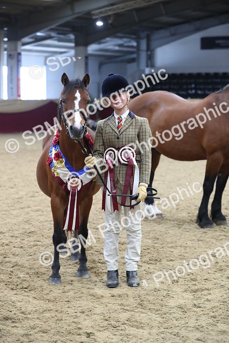 SBM_15445 - Class 501 M&M IH Supreme Final