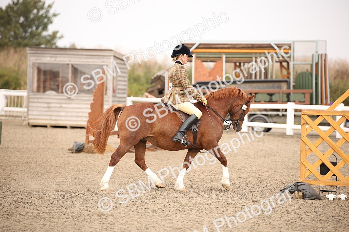 SBM_12253 - Class 405a - M&M Working Veteran 50cm (15-19)