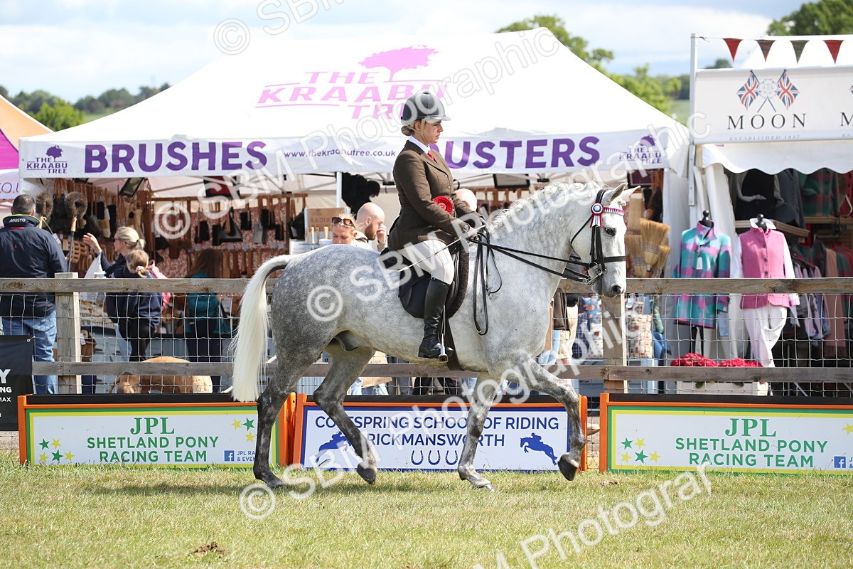SBM_13307 - Class 95-96 - LIHS BSHA Rising Star Hack Riding Horse