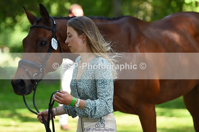 230524-154852-00523 - 377-GOLD_NUGGET-Jillian_Giessen-WEDTrotUp+DR