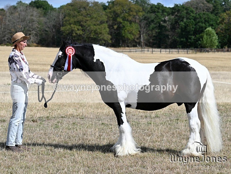 WJ7_9588 - Kellie and Nancy at Swallowfield 31-08-26