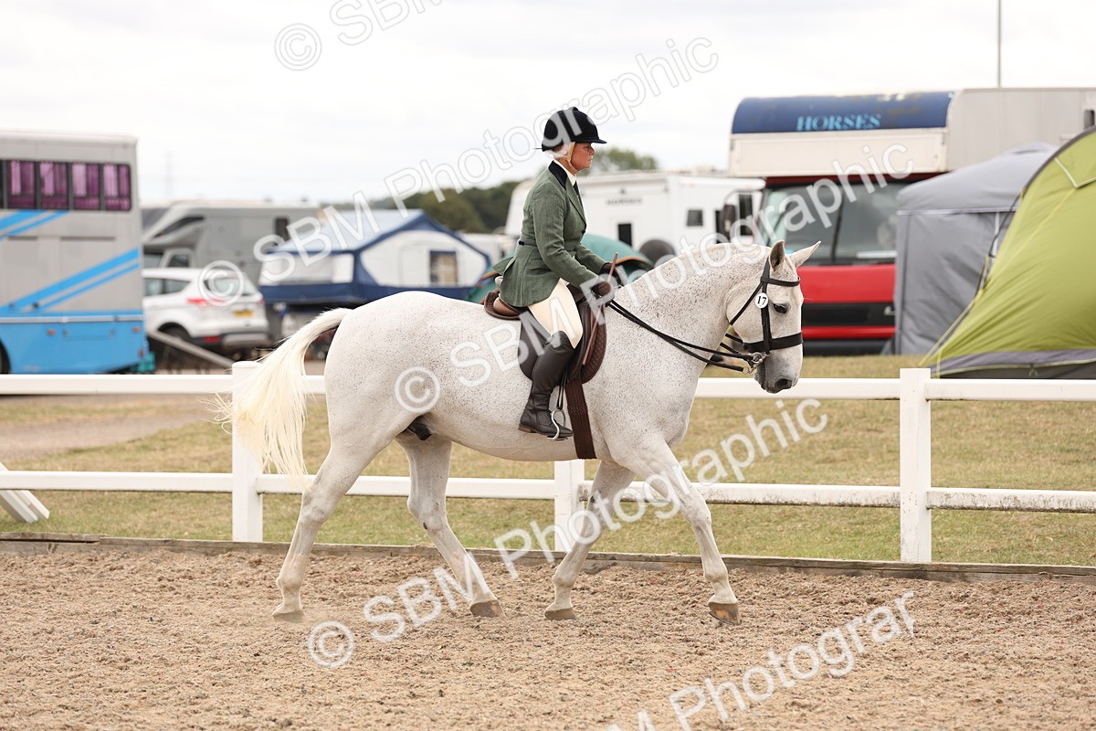 SBM_19496 - Class 215 - Ridden Show cob