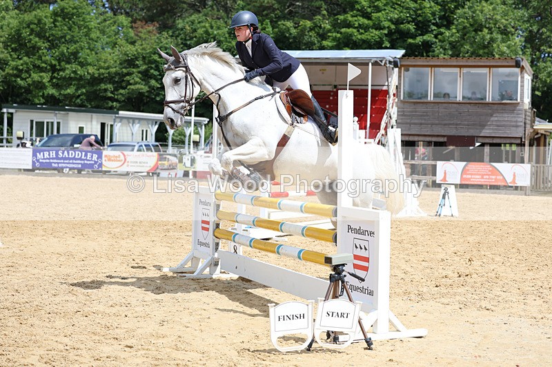 3E7A3176 - Class 4: Senior British Novice/90cm open