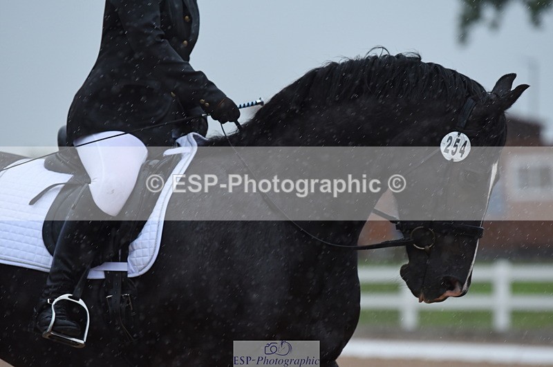 230708A-123130-01736 - Prelim 7