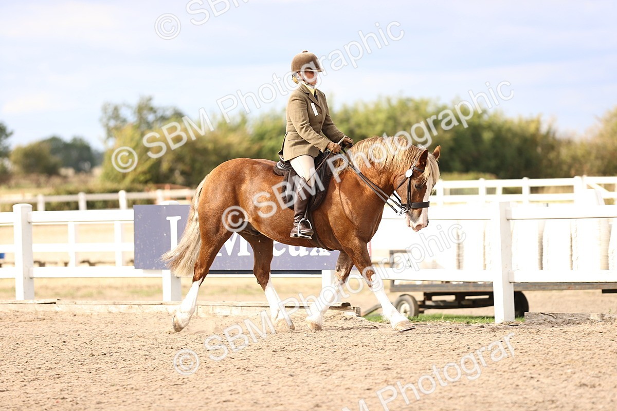 SBM_18147 - Class 423 - Equitation (best rider) Adult