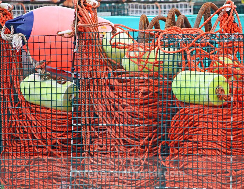 Lobster Buoys - Fundy Postcards