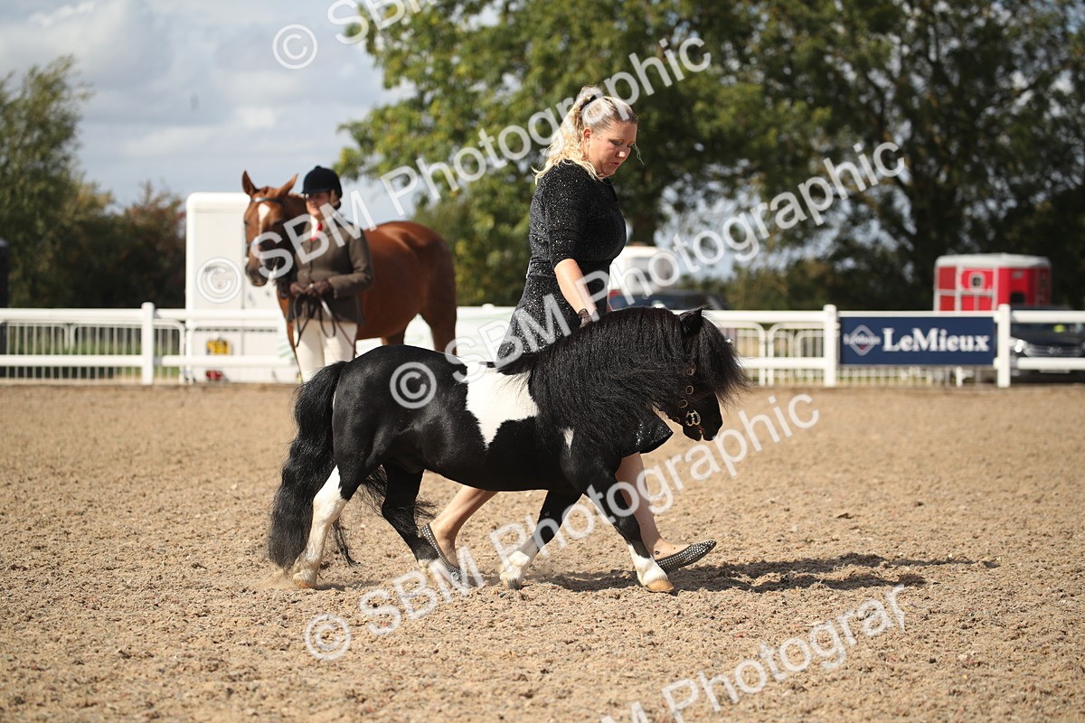 SBM_23107 - Class 606 - 2026 - Area - IH Pre Vet