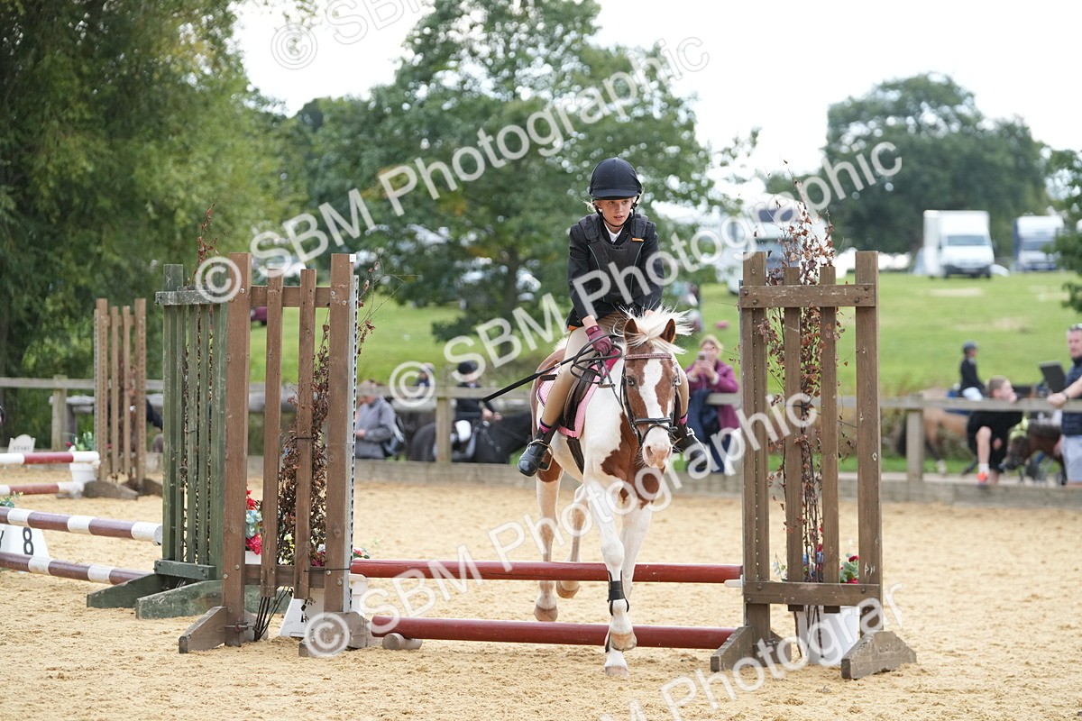 SBM_74674 - J4 - Mini Tour Junior Pony 45cm Championship