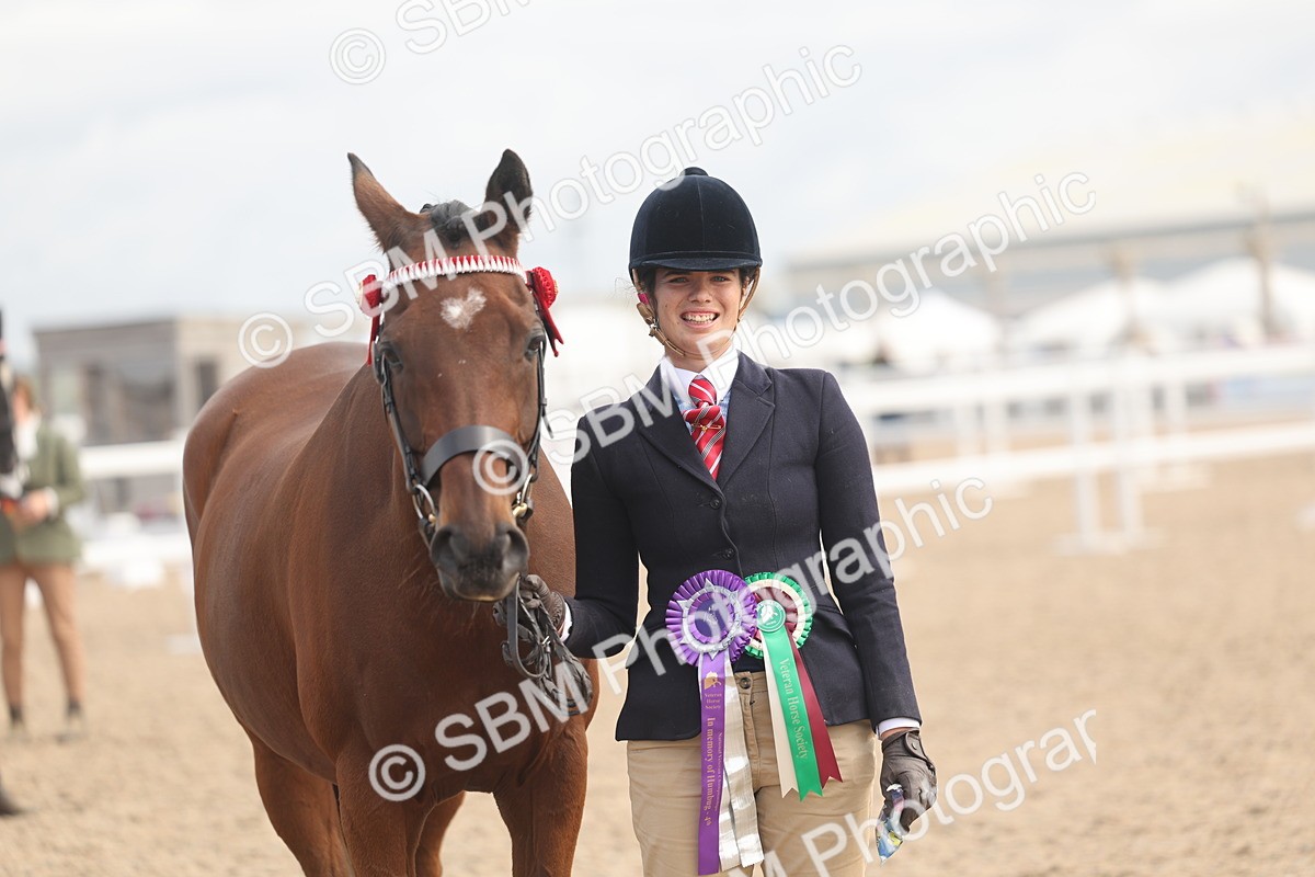 SBM_04509 - Class 18 - Handsomest Gelding (IH or Ridden)