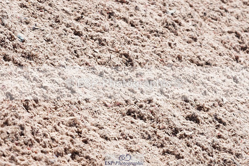 250503-143700-01568 - Cls 28 Springboard