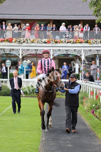 yr19082021r7-26 - Race 7 5.20pm British Stallion Studs EBF Fillies' Stakes