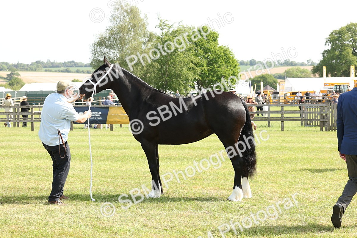 SBM_02250 - Class 6-13 - Mountatin and Moorland In Hand Welsh Breeds