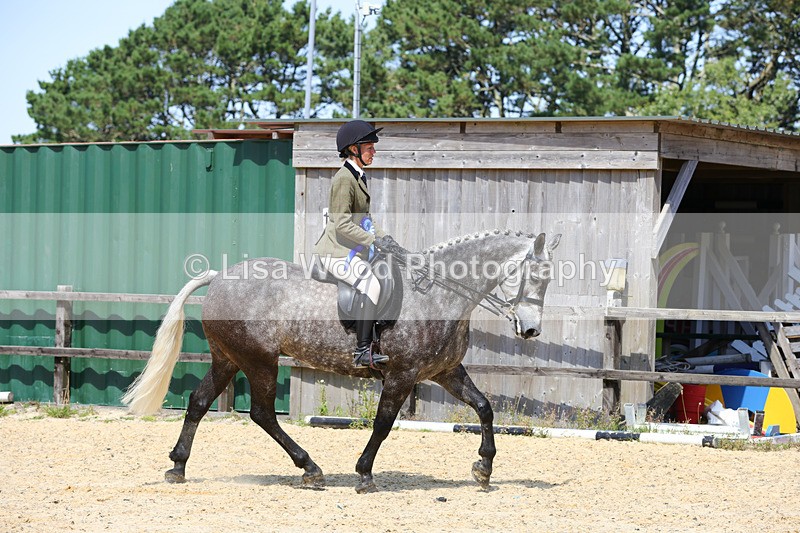 1X9A8857 - Class 19: Riding Club Horse