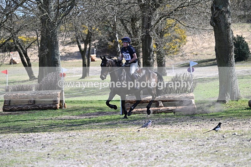 WJ7_1172 - XC Time 13:29 to 13:34