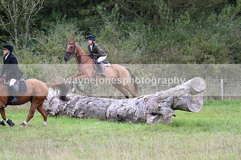 WJ7_3877 - Camera 1 Line 1