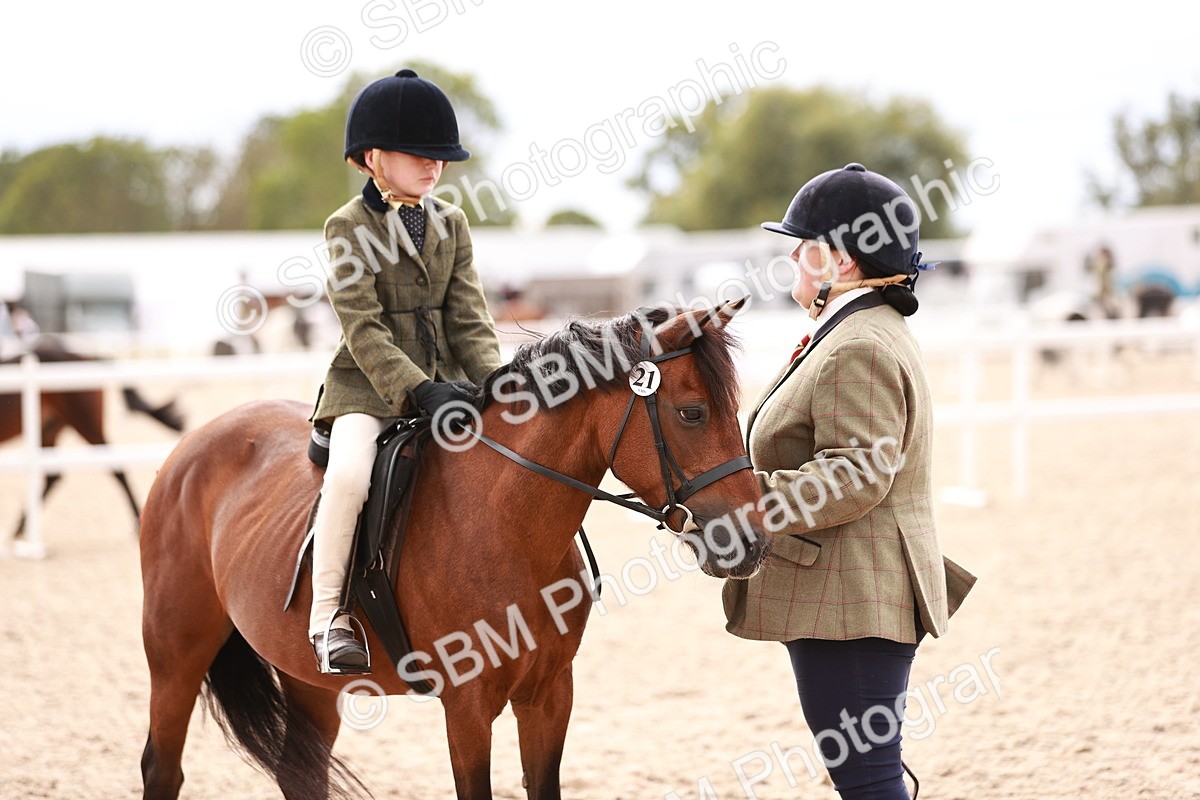 SBM_18259 - Class 416 - Prettiest Mare (IH or Ridden)Jnr