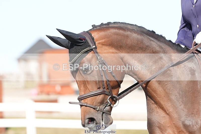 250817-164931-11968 - 211-Carey.CollettRubin's.Fanfare