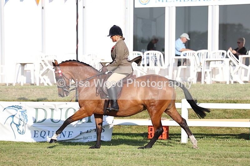 3E7A5028 - Class 1: Rising Star Small Hack/Riding Horses