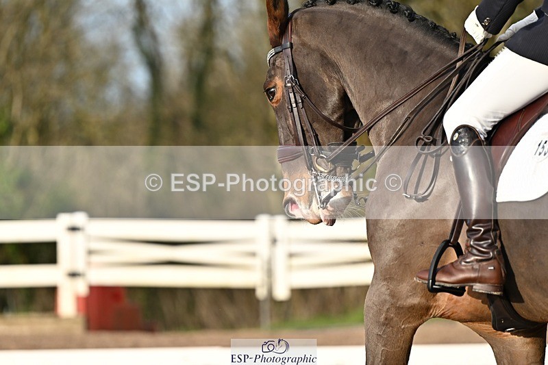 241214-141457-02769 - 153-Sally.Bell-Hilton.VI