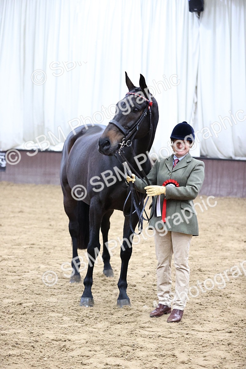 SBM_5771 - Class 3 - BSHA In Hand Show Hunter