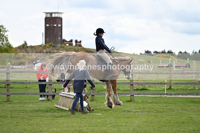 WJ7_6358 - 60cm Time 11:12 to 11:36