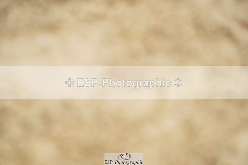 240309-152118-01492 - Cls 03 AE 90cm