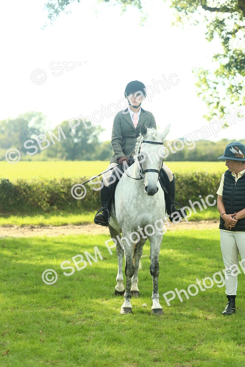 SBM_52185 - S33 - Working Hunter & Working Show Horse