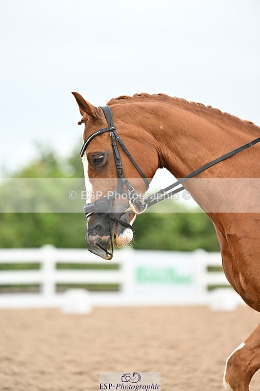 240623A-125642-18099 - Cls 51 BD Elementary 53