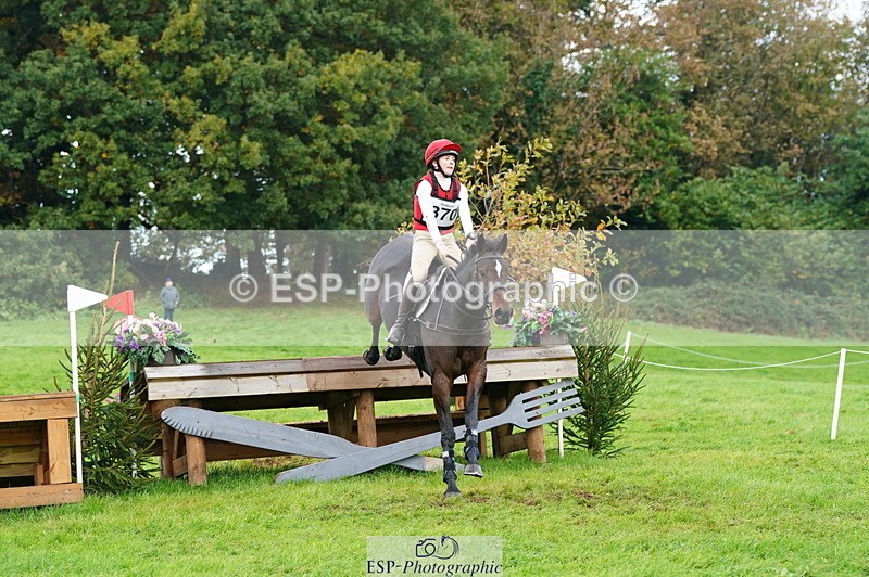 251025A-110100-17231 - D-370-Ruby.Sturgis