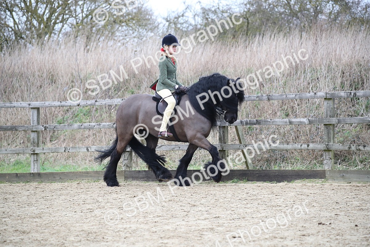 SBM_006309 - Class 10-13 - RIHS Small Large Breeds