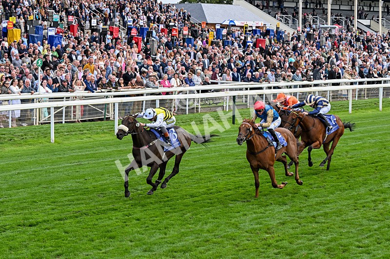 210826-Race 3-Arapaho Gold-0194 - Race 3 15.00pm Al Basti Equiworld Dubai Gimcrack Stakes