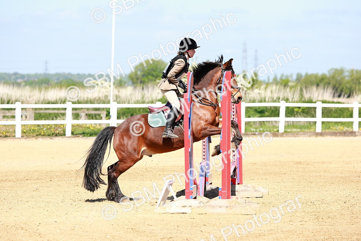 SBM_007095 - Class 3 - 60cm