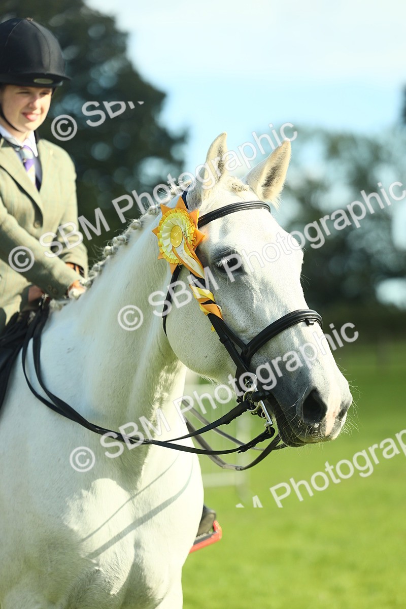 SBM_49932 - S32 - Novice & Newcomers Working Hunter