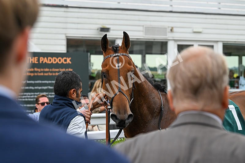 280824-Race 2-Flight Radar-4147 - Race 2