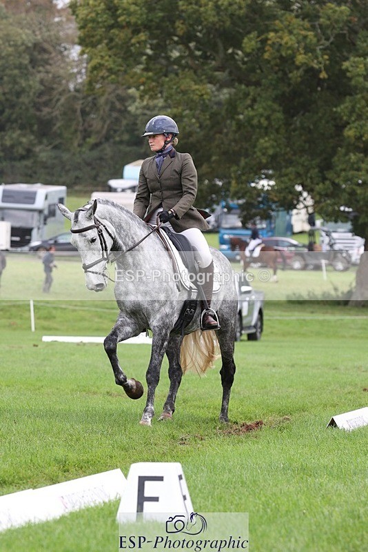 231019-153139-04914 - 553-HARLEQUIN.RABBIT-Althea.Bleekman-DR