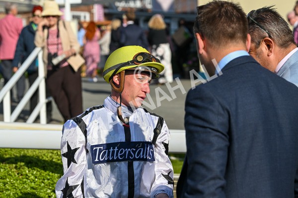 160525-Race 7-Delicacy-7574 - Race 7 5.30pm Yorkshire Equine Practice Handicap