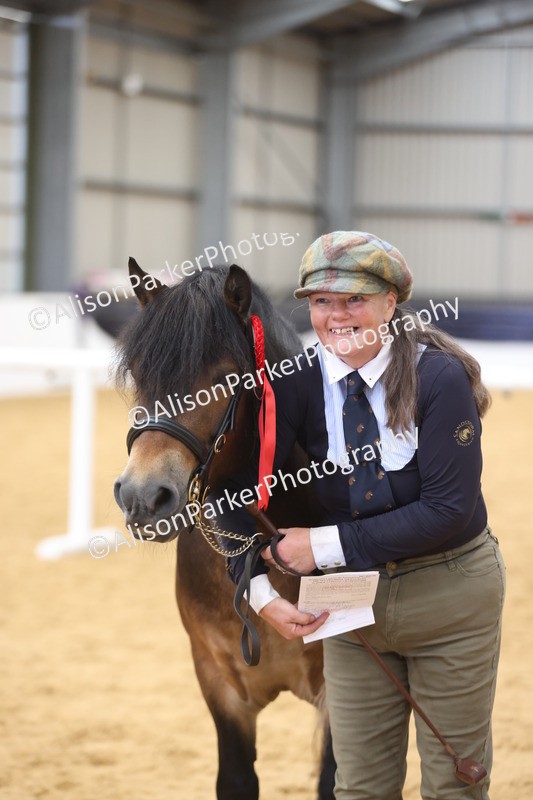 20260913-1769 - Class 117 - Stallion 4years and over