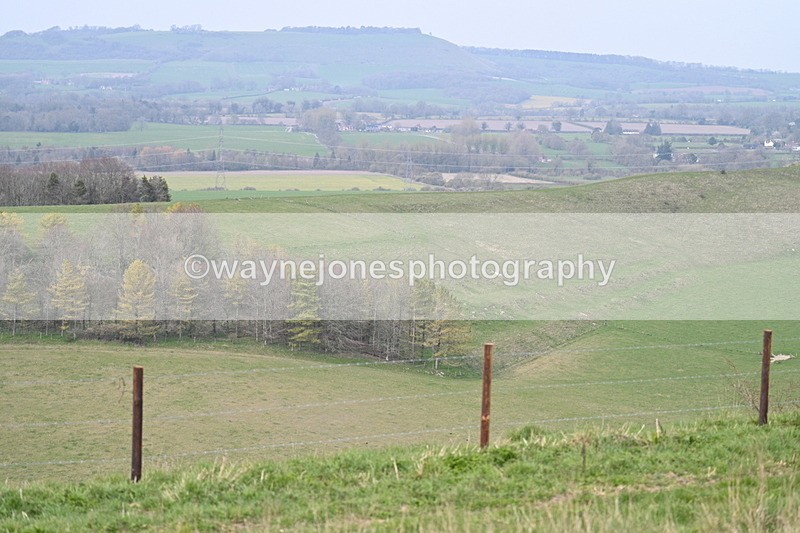 WJ7_8022 - Line 2 A camera