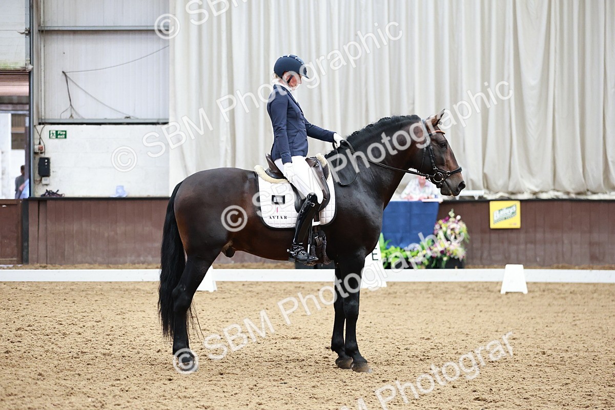 SBM_006556 - Class 11 - Elementary 6 Gold - 14.12-15.00