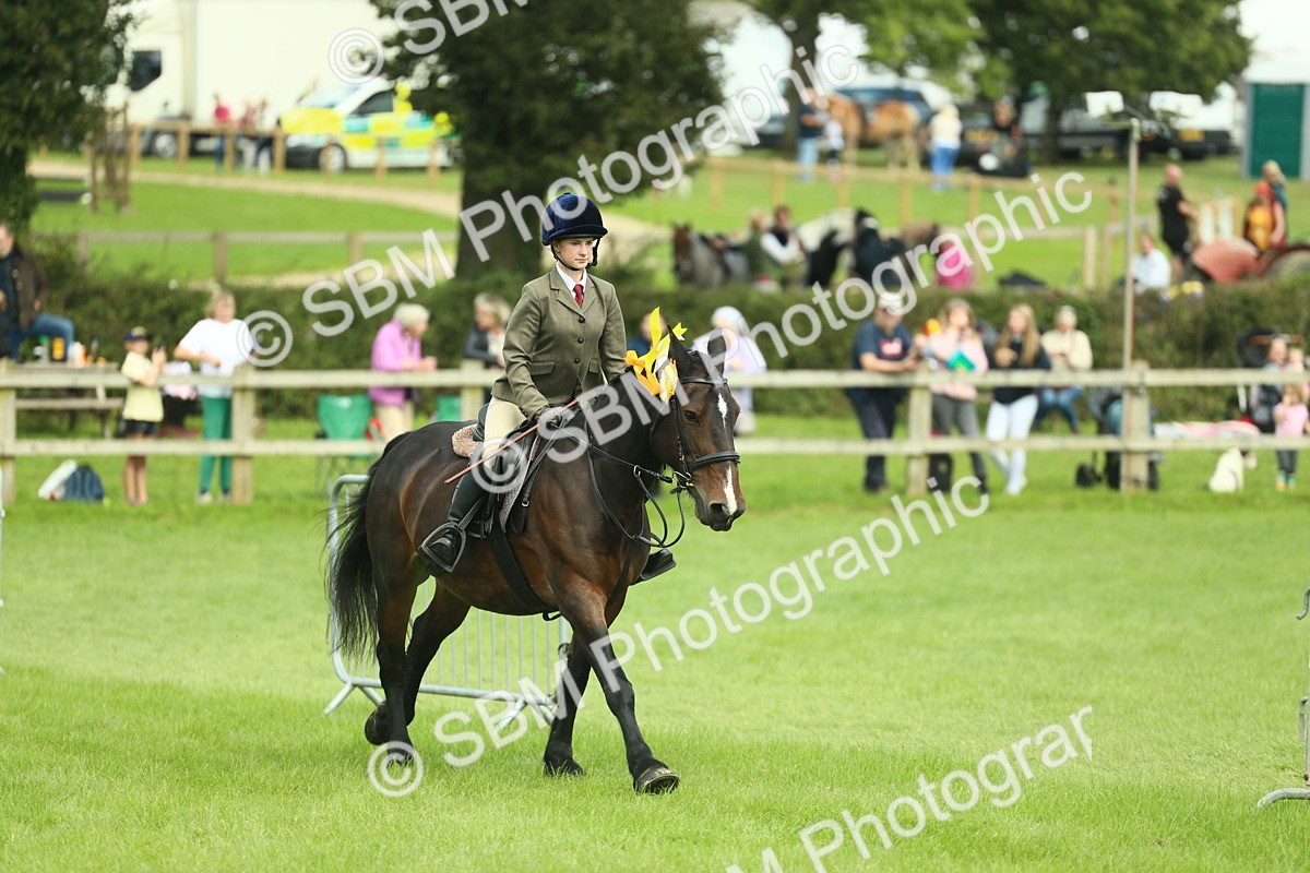 SBM_42252 - S29 - Novice & Newcomers Working Hunter Pony