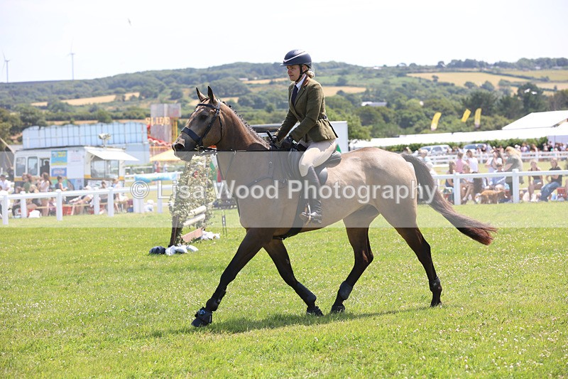 JPP_3119 - Class 22: Working Hunter 70cm