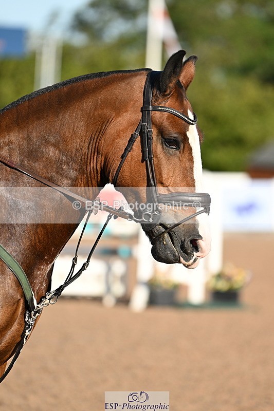 240914A-090356-05769 - Cls 20-S Snr British Novice and 90cm Open