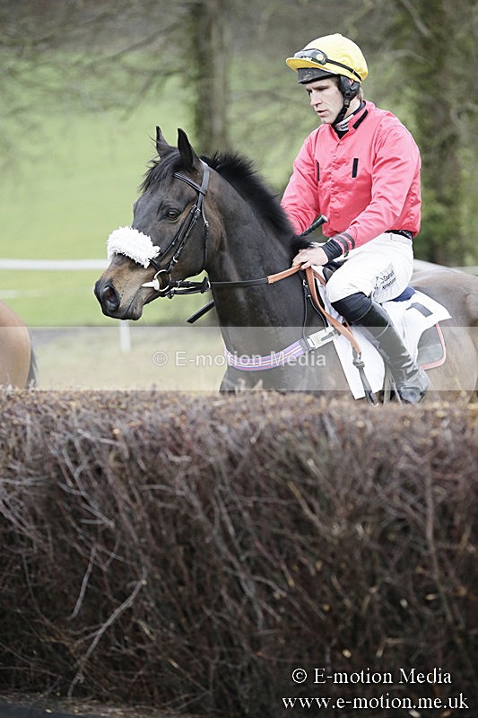 PtP 020418 -430 - Old Berks Point-to-Point Races Easter Monday 02/04/18