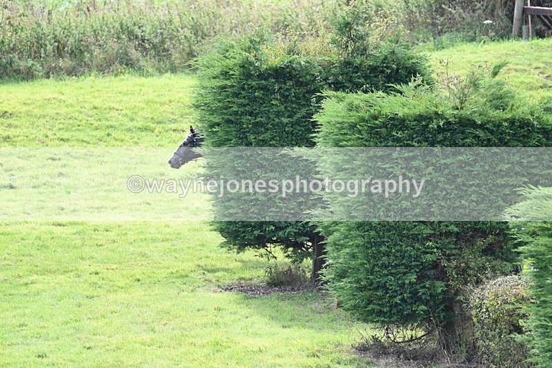 WJ7_7637 - Time 13:30 to 13:48