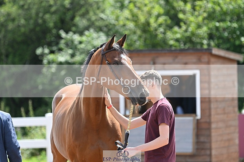 240717A-150236-02476 - Trot Up 3pm to 4pm
